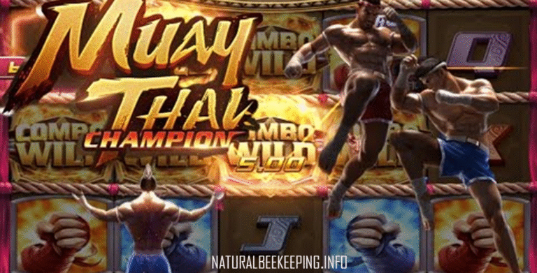 Menang Konsisten di Slot Muay Thai Champion Tanpa Rugi di Casaprize